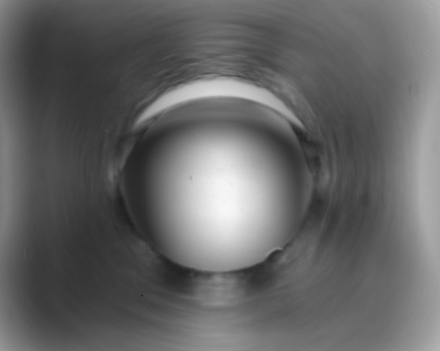 X0000089760329200707051838