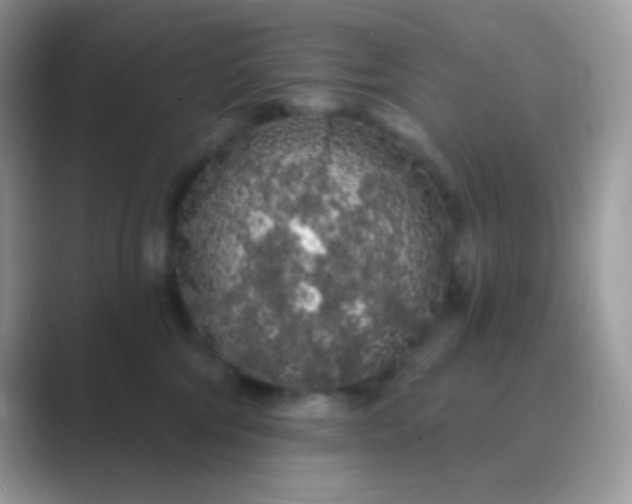 X0000089760330200707051838