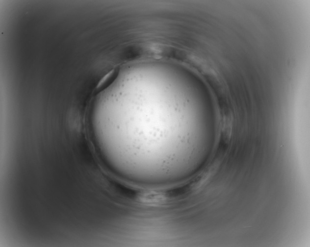 X0000089760331200707051838