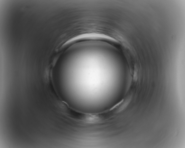 X0000089760333200707051838