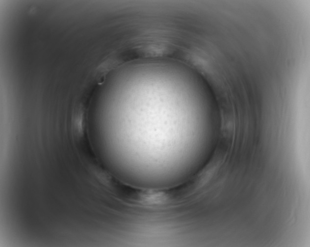 X0000089760334200707051838