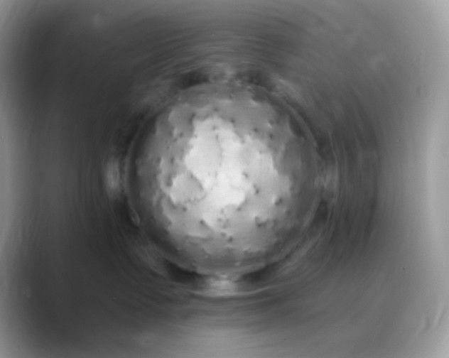 X0000089760335200707051837