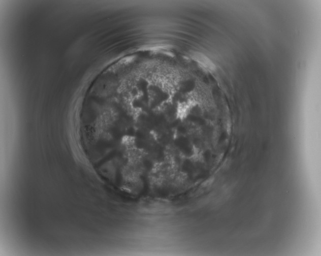 X0000089760337200707051837