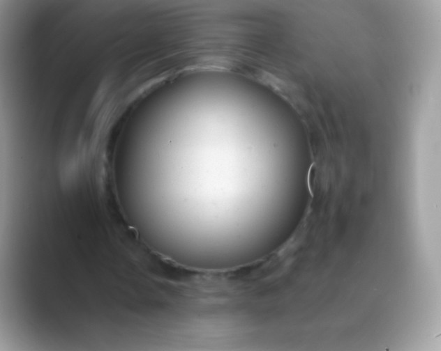 X0000089760338200707051837