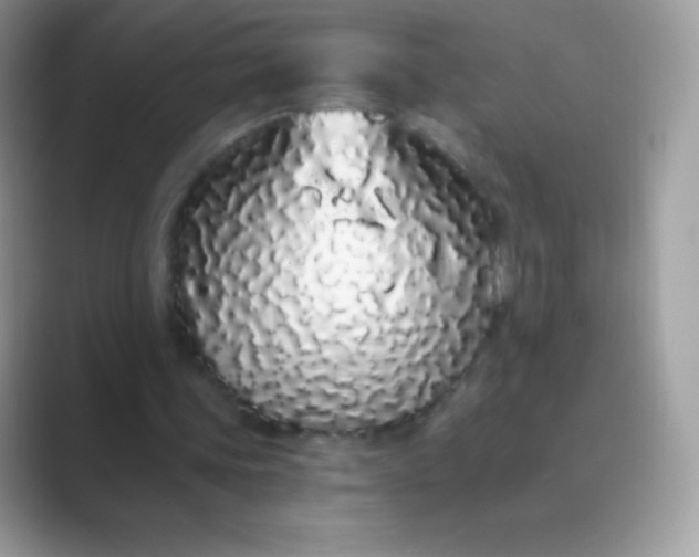 X0000089760339200707051837