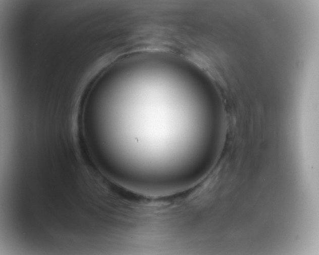 X0000089760340200707051837