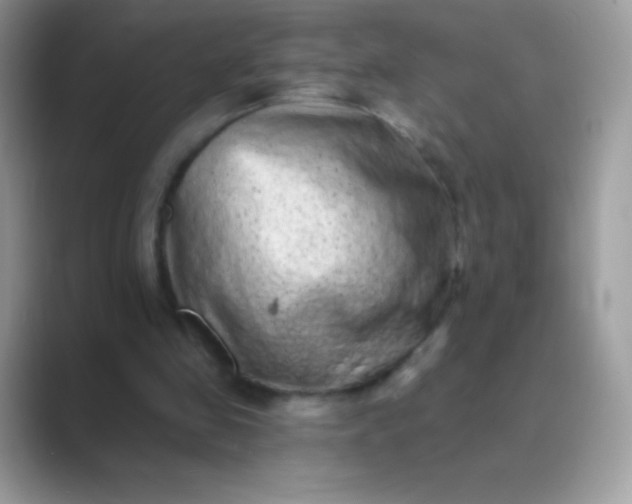 X0000089760341200707051837