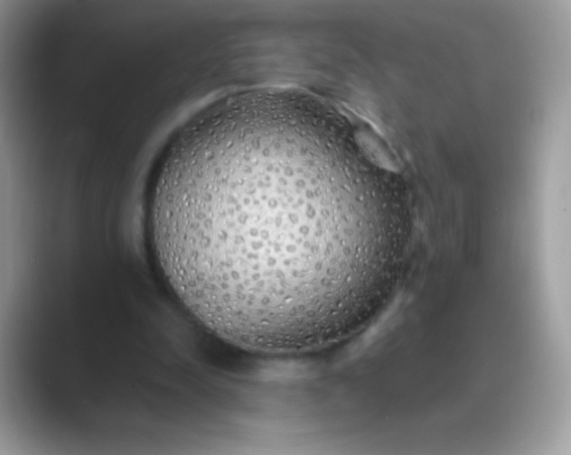 X0000089760342200707051837