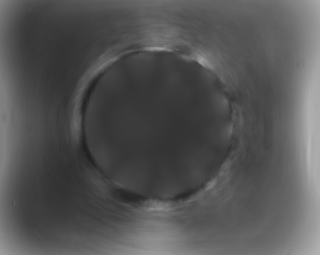 X0000089760343200707051837