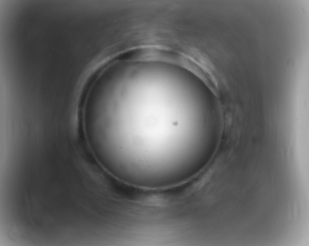 X0000089760344200707051837