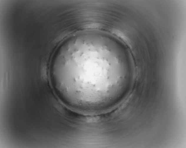 X0000089760345200707051837