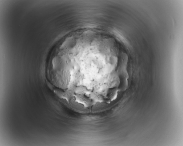 X0000089760346200707051837