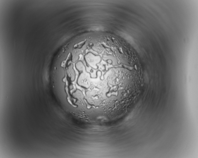 X0000089760347200707051837