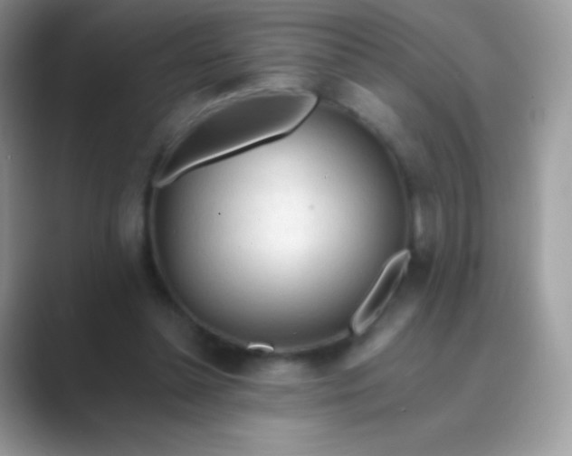 X0000089760348200707051837