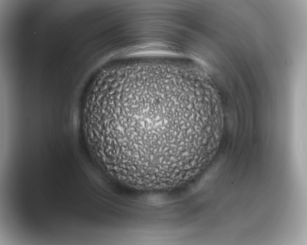 X0000089760350200707051837