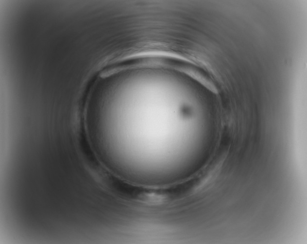 X0000089760352200707051837