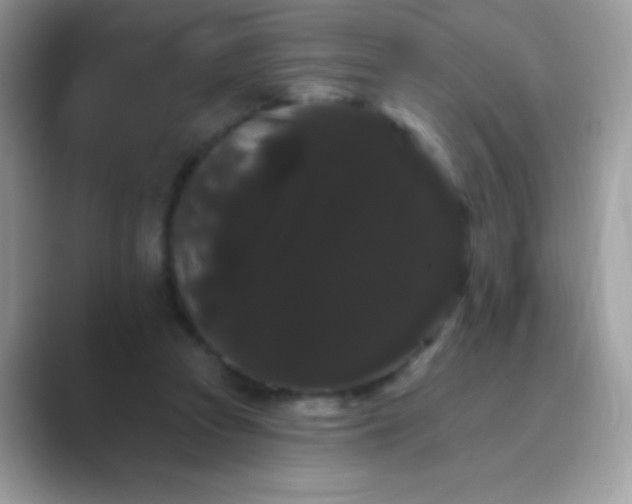 X0000089760353200707051837