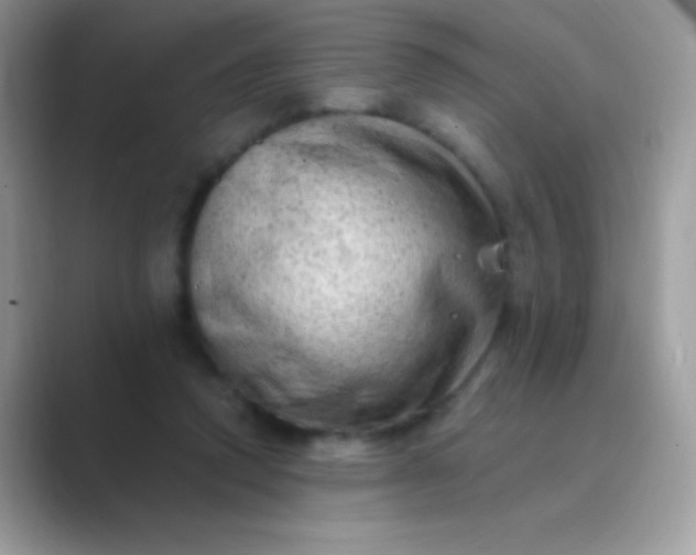 X0000089760354200707051837