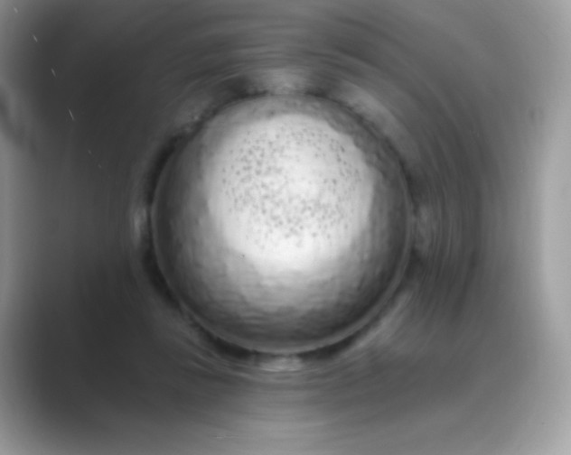 X0000089760355200707051837