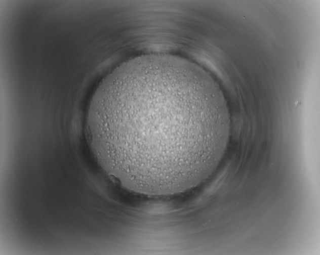 X0000089760356200707051837