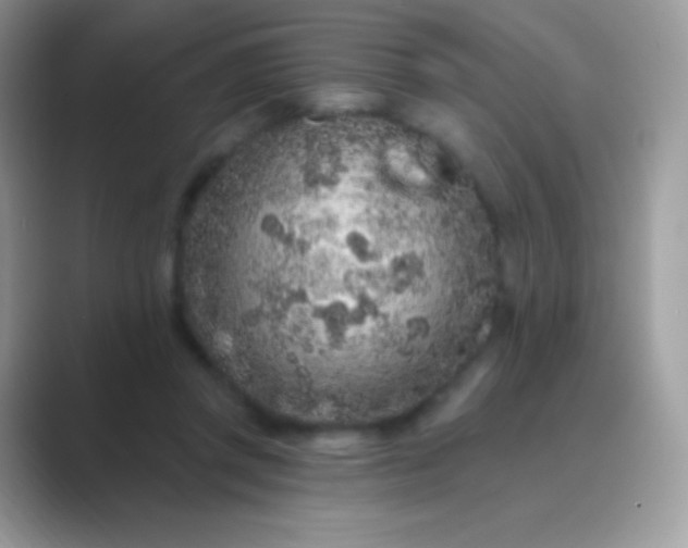 X0000089760357200707051837