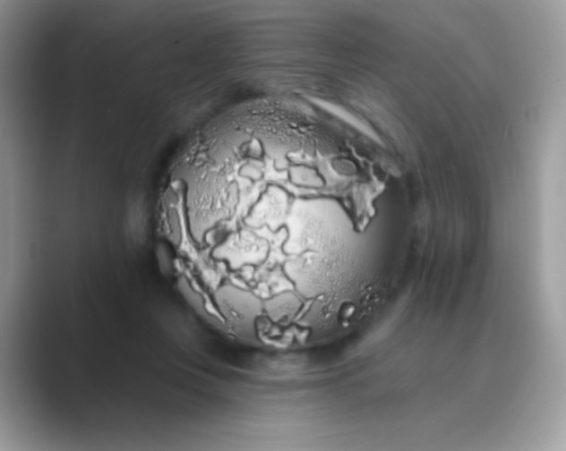 X0000089760359200707051837