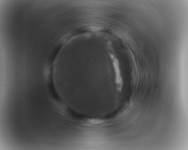 X0000089760360200707051837