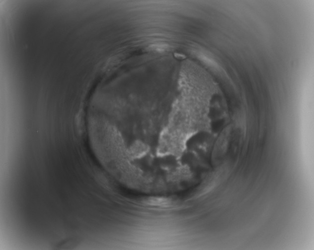 X0000089760361200707051837