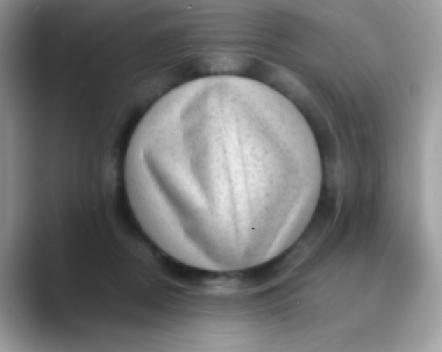 X0000089760362200707051837