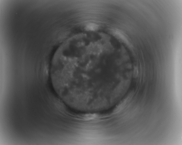 X0000089760363200707051837