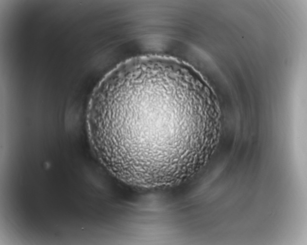 X0000089760364200707051837