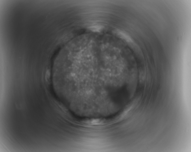 X0000089760365200707051837