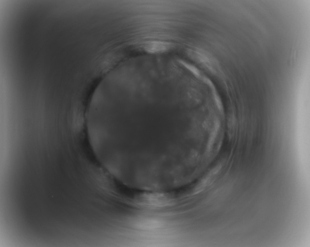 X0000089760367200707051837