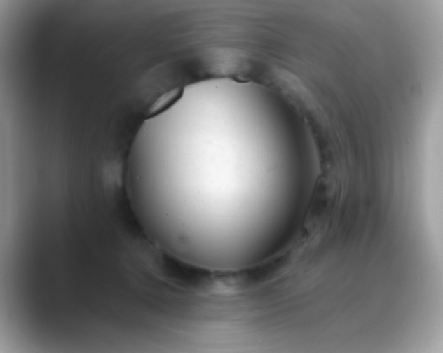 X0000089760368200707051837