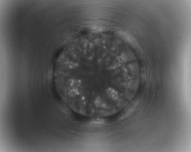 X0000089760369200707051837