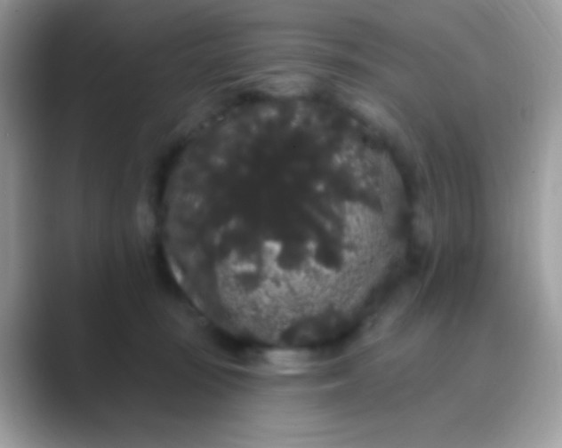 X0000089760371200707051837