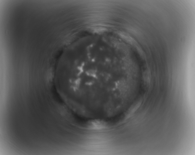 X0000089760372200707051837