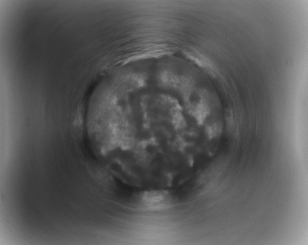 X0000089760373200707051837