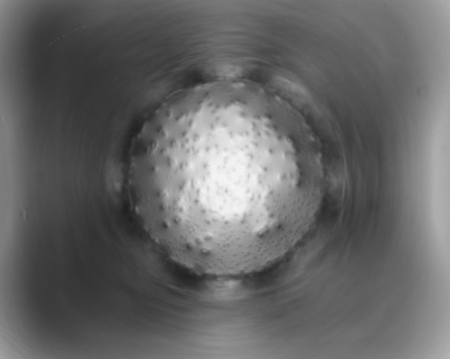 X0000089760374200707051837