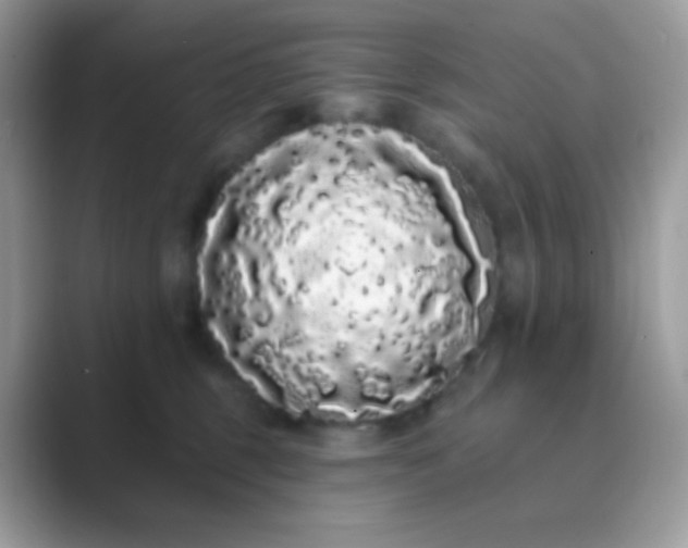 X0000089760375200707051837