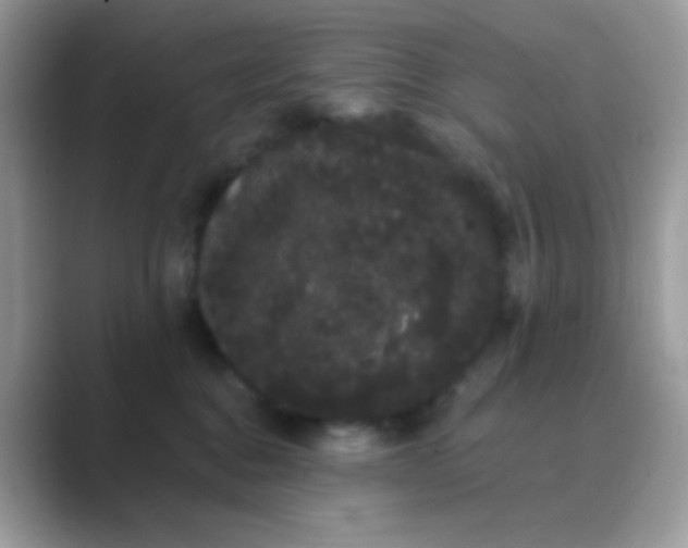 X0000089760376200707051837