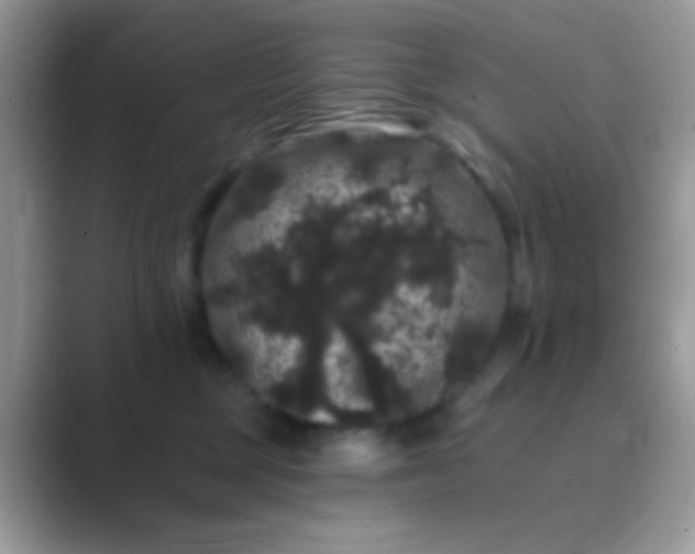 X0000089760377200707051837