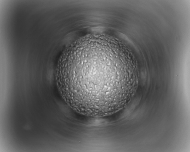 X0000089760379200707051837