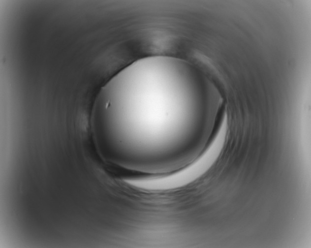 X0000089760380200707051837