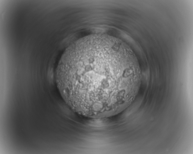 X0000089760381200707051837