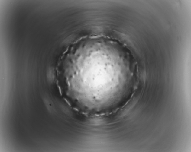 X0000089760383200707051837