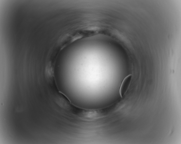 X0000089760384200707051837