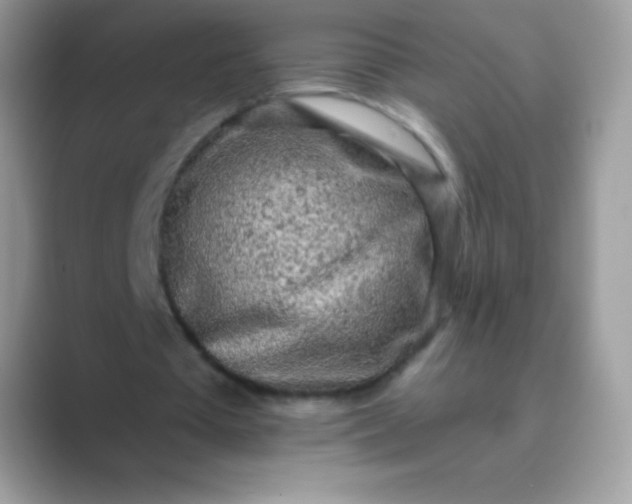 X0000089760385200707051837