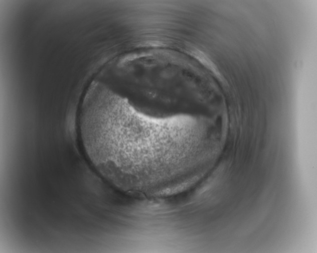 X0000089760386200707051837