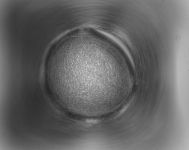 X0000089760388200707051837